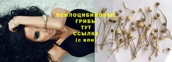 дживик Покровск