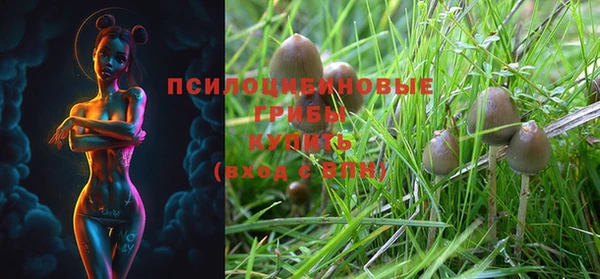прущие крисы Баксан