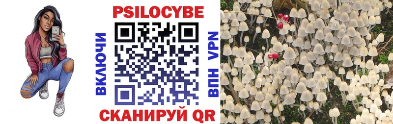 Галлюциногенные грибы Magic Shrooms  сколько стоит  Лакинск 